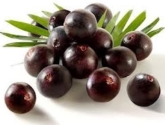 Acai Berry