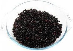 Elderberry